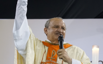 Homilia de Frei Josué: A luta e a vitória na vida espiritual — a perseverança até o fim